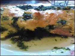 Lachs-Spinat-Auflauf