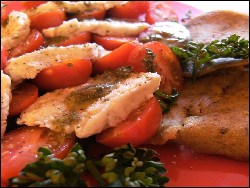 Mozzarella (vegan)